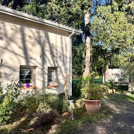 Apartment Les Cedres - *